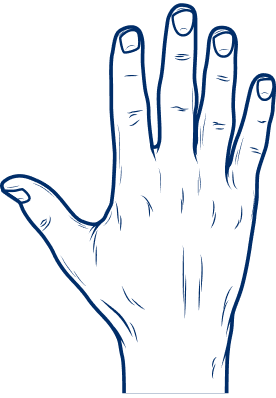 Human